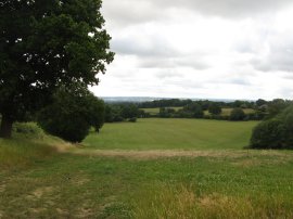 Fields nr Sevenoaks Weald